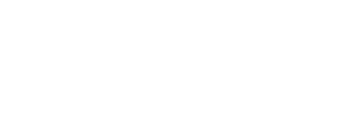 shbet.vision
